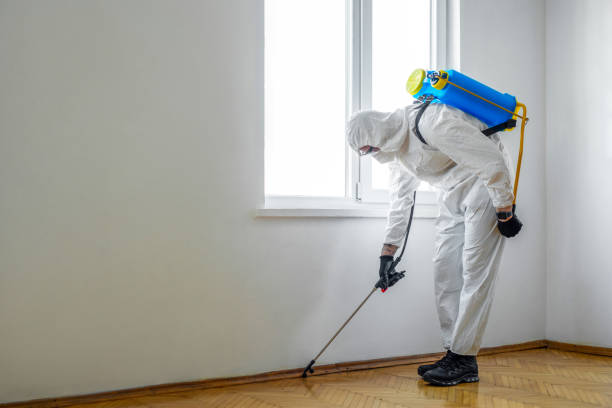 Indoor Pest Control in Mount Arlington, NJ